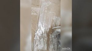 Упаковка крупного растения для отправки почтой РФ