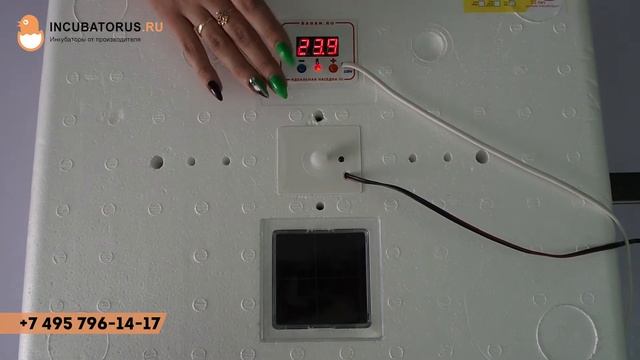 Обзор инкубатора Идеальная Наседка смотреть онлайн