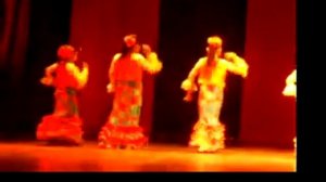 FLAMENCO, POR JALEOS. VENEZUELA.MOV