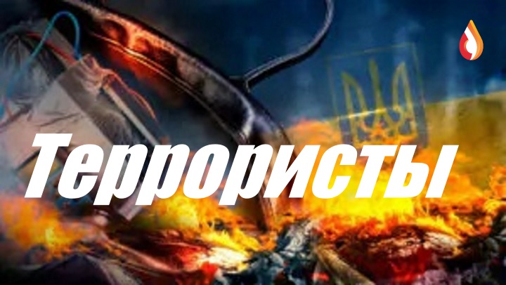 Террористы