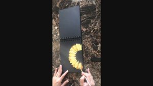 A very easy sunflower painting for beginners made with acrylic paints