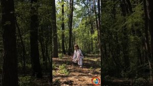 Разминка- зарядка по системе Тайдзицюань