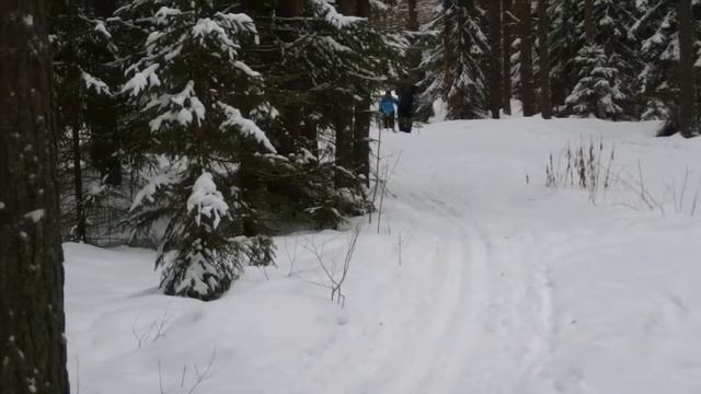 Лыжная база г Шарьи 2018 г январь смотреть онлайн