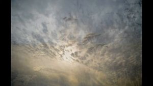 Sigma DC 17-70mm 2.8-4.5 Macro HSM Примеры фотографий