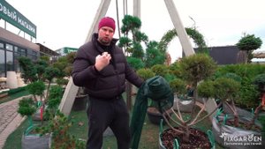 Сетка для затенения хвойных растений от поражения лучами ультрафиолета