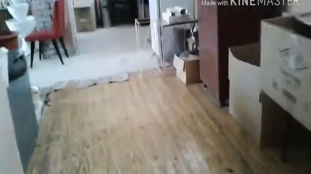 Проникли на сцену запалила камера смотреть онлайн