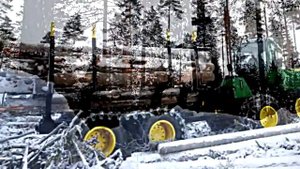 Бани и Дома