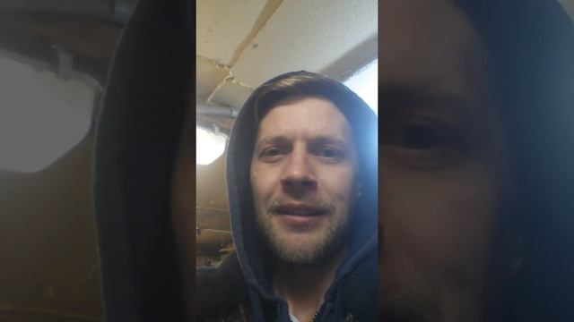 Баобаб вместо ёлки смотреть онлайн