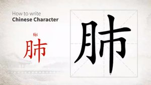 肺 (fèi) lung