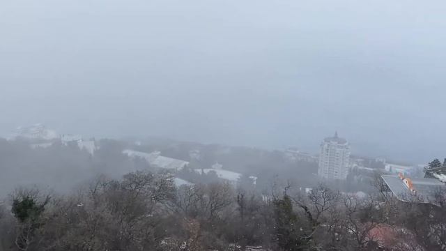 Мы едем, едем, едем... куда нибудь доедем ?❄️ #Зима2021 #ЮБК_в_снегу #Крым #Вкусно_от_Виктории смотреть онлайн