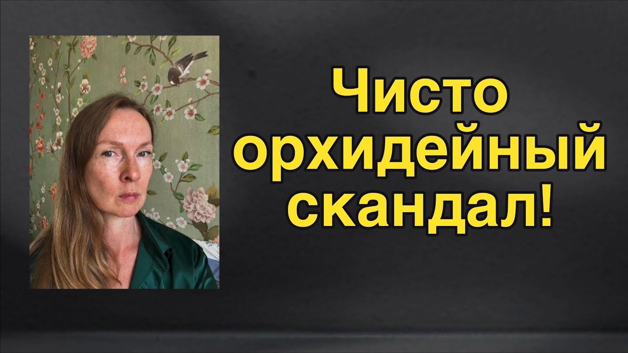 Скандалы, интриги и расследования орхидейного рынка в России