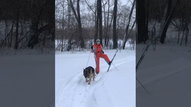 Волшебного Нового года! Моменты жизни. Новогоднее поздравление из Новосибирска. смотреть онлайн