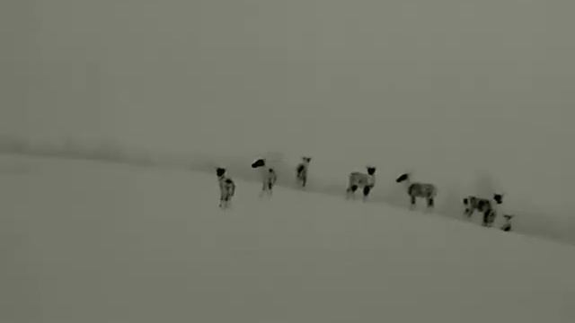 Byki 150m Xeye E3max v2 смотреть онлайн