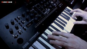 Korg Minilogue XD module: гибридный синтезатор (Superbooth19)