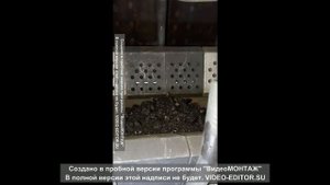 Zota Стаханов 135 Интересный аппарат