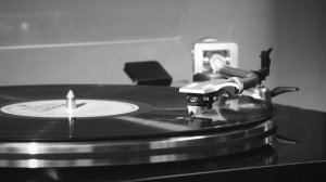 Александра Лаврова "Чеслав Немен"