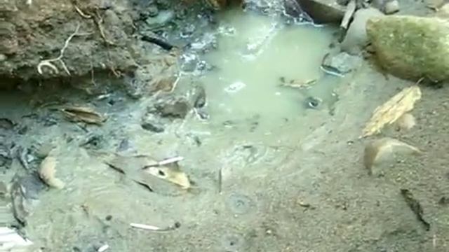 ECUADOR "MAGICAL FIRE & TROPICAL FOREST " смотреть онлайн