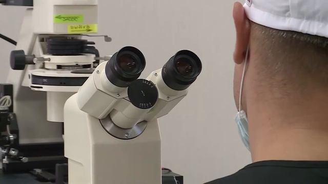 Экстракорпоральное оплодотворение (ЭКО) Перинатальный центр