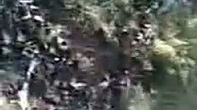 dnsui смотреть онлайн