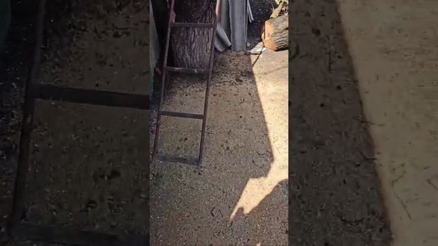 Как спилить дерево и положить его в нужном направлении . Использовал китайскую бензопилу goodluck смотреть онлайн