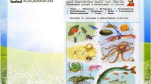 Задание 1 Разнообразие животных - Окружающий мир 3 класс (Плешаков А.А.) 1 часть