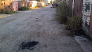 испытание мотоблока с прицепом 1