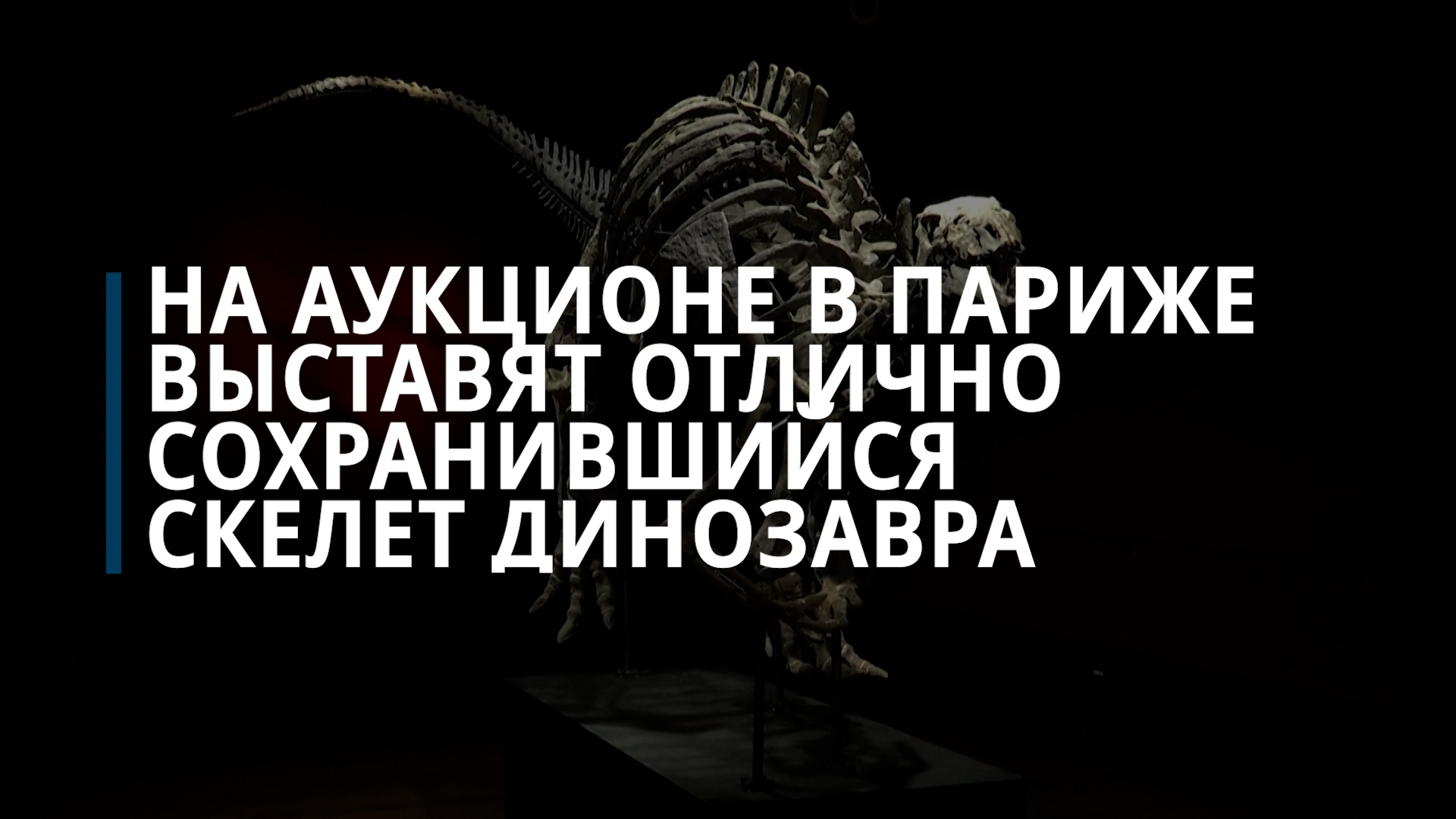 На аукционе в Париже выставят отлично сохранившийся скелет динозавра — Коммерсантъ