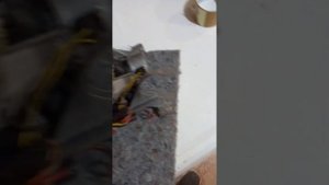 gorenje F03 ошибка в чому причина