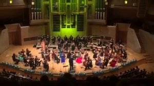 Дом музыки , Штраус гала 2015