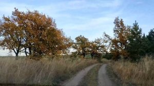 Достопримечательности Ульяновской области. Скрипинские кучуры.