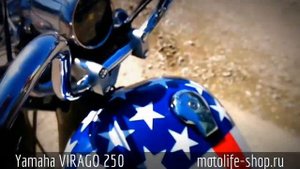 Yamaha VIRAGO 250 (19.03.2014)