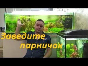 Парники в аквариумном хозяйстве. (Архив от 6.02.2022)