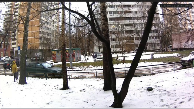 Под окном 11 декабря 2017 собиратель пластиков кормушек