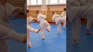 Аттестация на пояс по рукопашке