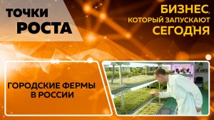 Точки роста. Городские фермы в России