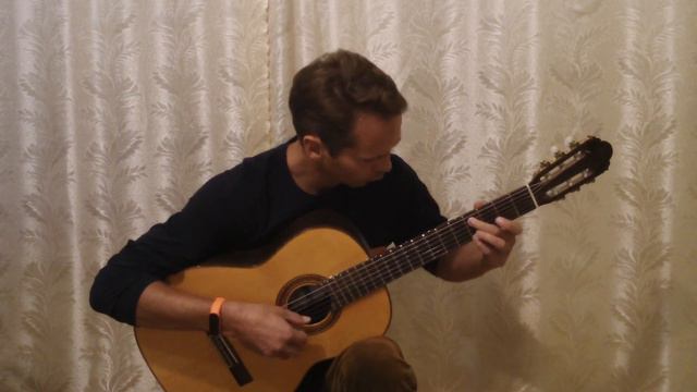 ЕВГЕНИЙ ЛЫСАК "Обычный вальс" Lysak Evgeniy guitar смотреть онлайн