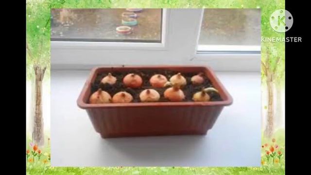 Сказка о маленьком Лучке Группа Радуга смотреть онлайн