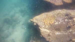 Дайвинг в Таиланде. Чего ожидать?