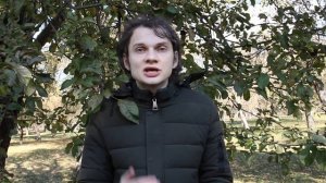 Осенняя искореняющая обработка сада: когда, зачем, кого и чем