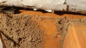 Черничный хутор меня не научил