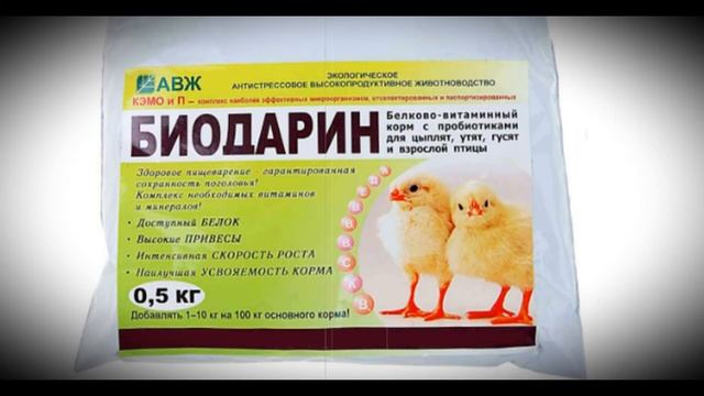 Витамины для цыплят в первые дни жизни смотреть онлайн