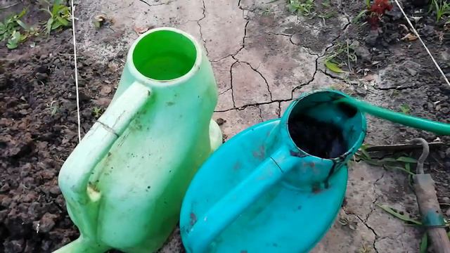 ЧТО Я ДЕЛАЮ С КАПУСТОЙ, ПОСЕЯНОЙ СРАЗУ В ЛУНКИ СЕМЕНАМИ. смотреть онлайн