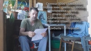 ВЫГОДНО ЛИ СВИНОВОДСТВО?