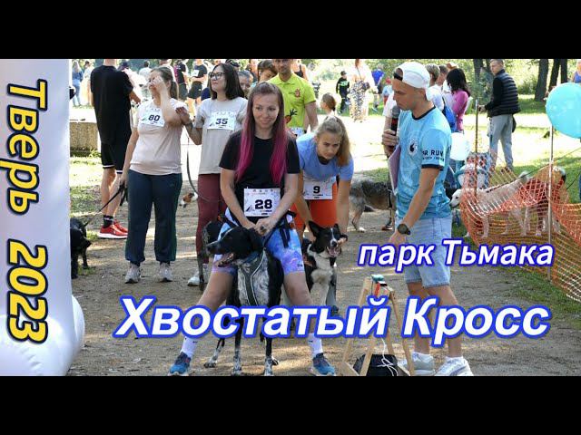Хвостатый Кросс в Твери 2023 (4К) #tver #хвостатыйкросс смотреть онлайн