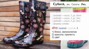 Сапоги - значение и происхождение слова