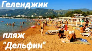 Геленджик пляж "Дельфин" Обзор и Цены август 2021