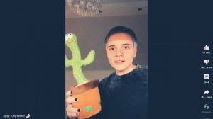 Бит бокс с кактусом @оля кекс