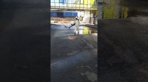 СУЭК САГАН-НУР ЗОНА ОТЧУЖДЕНИЯ.