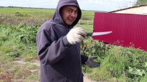 ТИХАЯ ОХОТА СОБИРАЕМ УРОЖАЙ