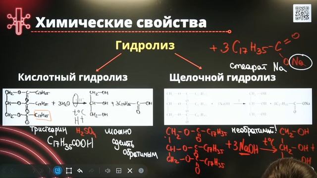 Все про жиры в ЕГЭ по химии смотреть онлайн